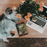 Rezension: Scary Harry #2:  Totgegesagte leben länger – sonja Kaiblinger